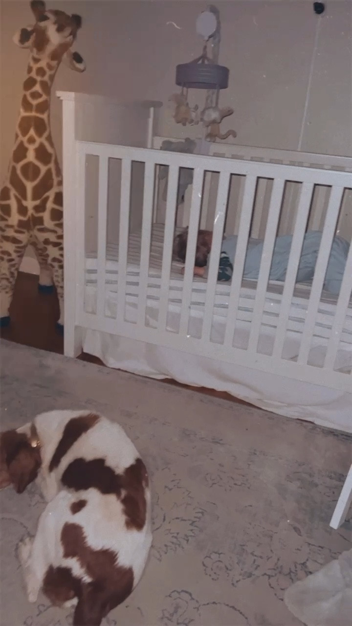 buddies who play together, nap together 🫶🏽👼🏼😴🐶🤍

#LTKbaby #LTKfamily #LTKhome