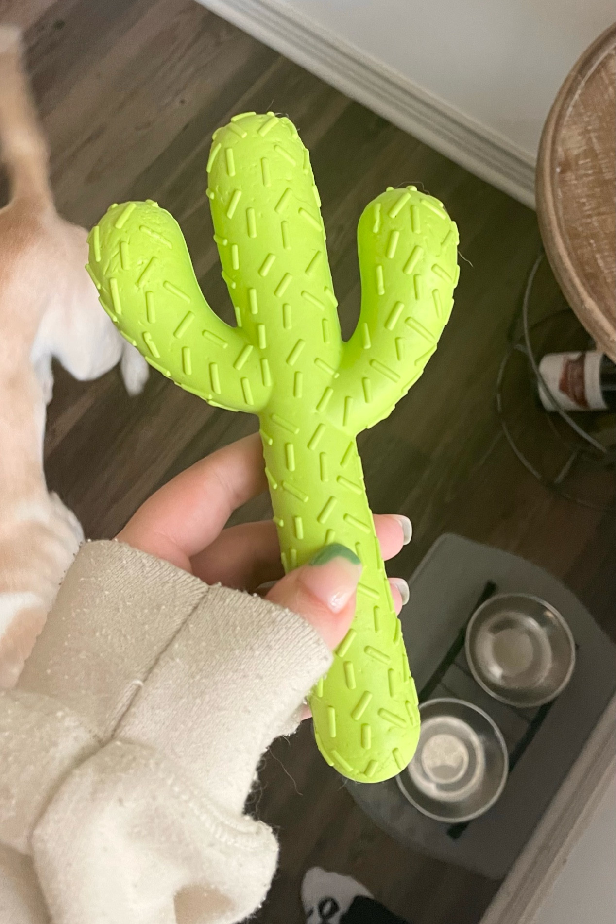 Amazon cactus dog toy! My girls have chewed the heck out of this thing and it’s still looking adorable. Comes in pink too!

Amazon dog toys, super chewer toys, cactus toy, aesthetic dog toy, dog mom 

#LTKFind #LTKhome