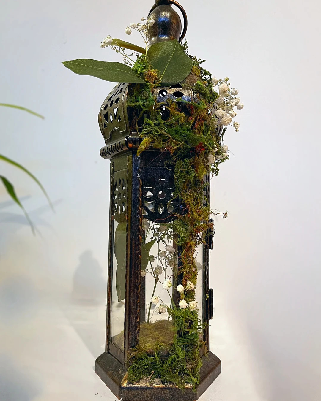 Mossy Lantern - Etsy | Etsy (US)