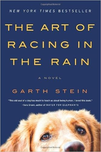 The Art of Racing in the Rain: A Novel By Garth Stein | Amazon (US)