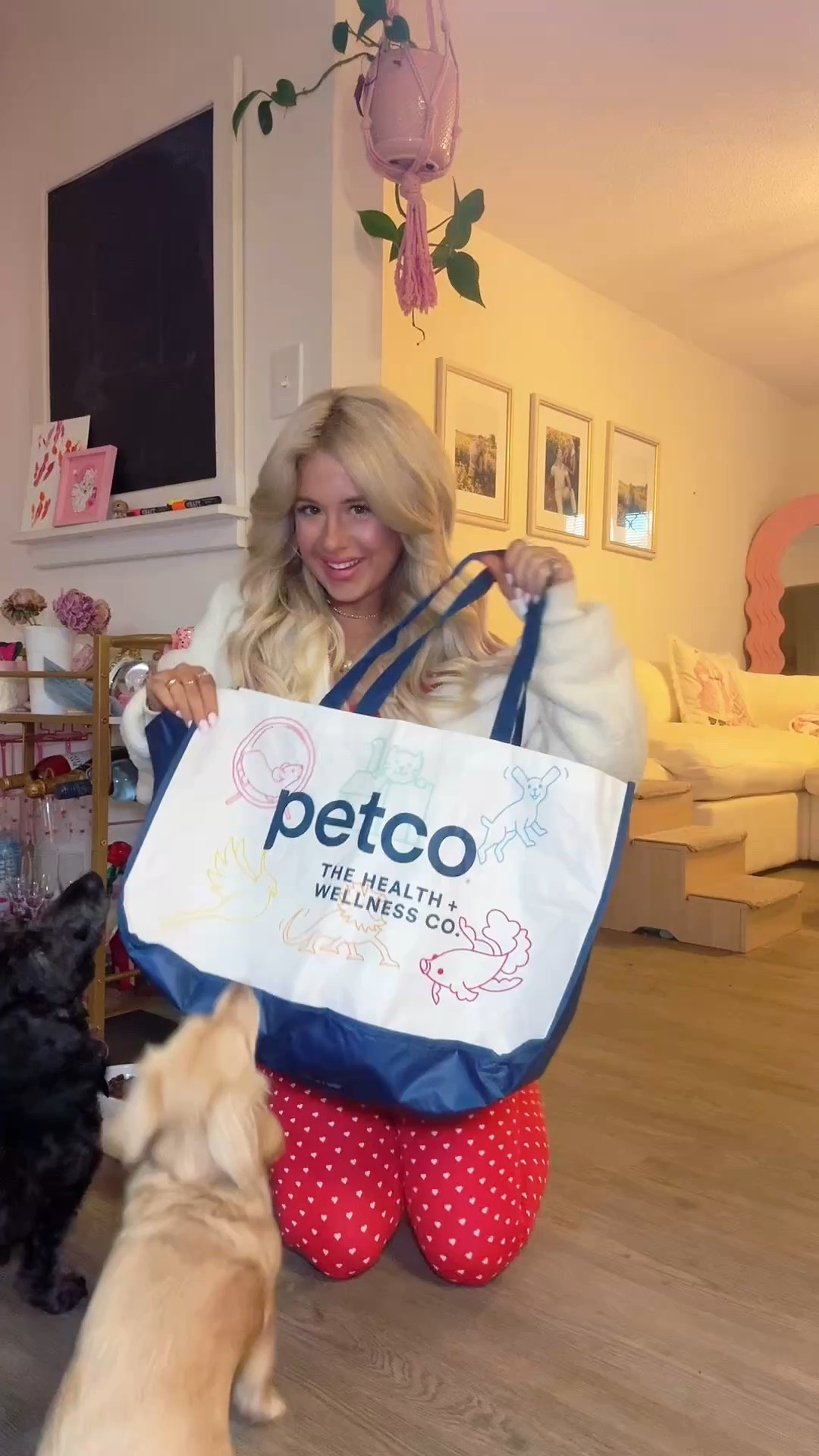 the best pet gifts this season!🎄🐶 @petco #ad #PetcoPartner 

#LTKHoliday #LTKGiftGuide #LTKSeasonal