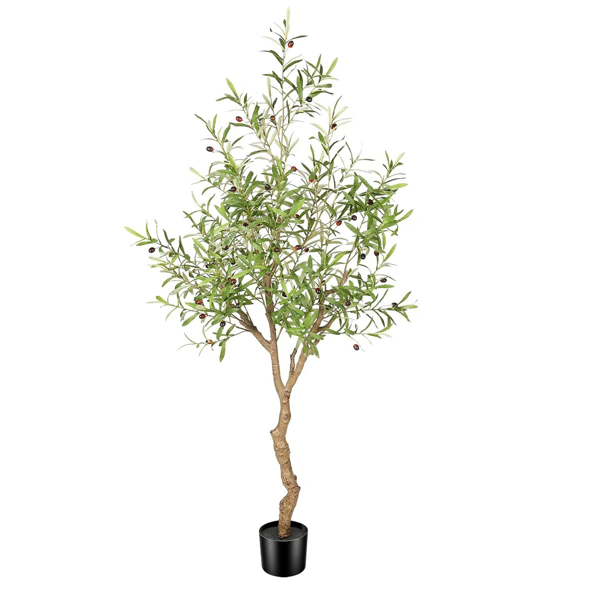 Primrue Faux Olive Tree Tree | Wayfair | Wayfair North America