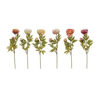 Assorted Peony with Peony Bud Stem by Ashland® | Michaels Stores