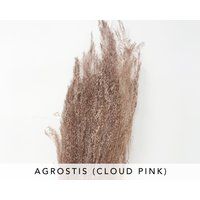 Agrostis in Cloud Pink, Dried Flowers, Diy Flower Arrangements, Brown Pink Stem Preserved Home Decor | Etsy (US)