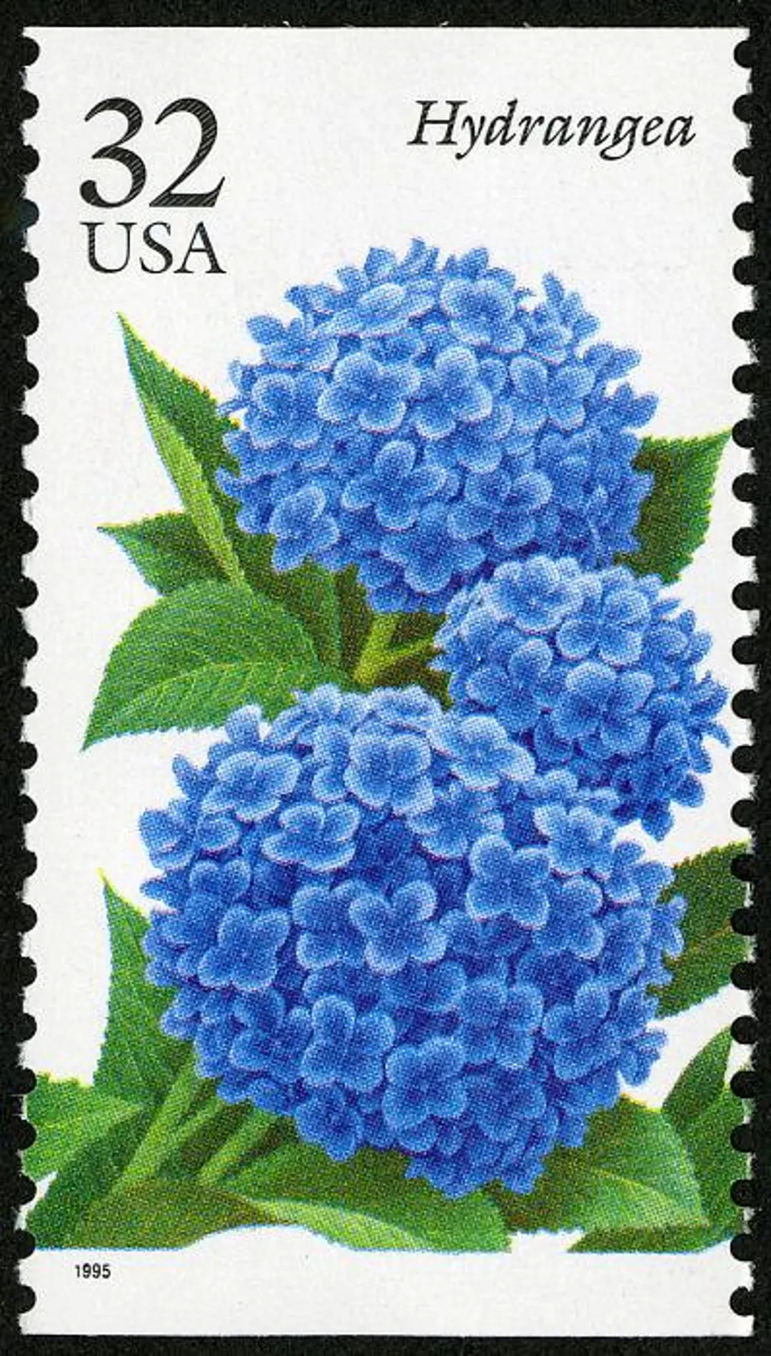 3x Blue Hydrangea GARDEN FLOWERS Wedding Invitations 1995 32c Unused Postage Stamp Free Shipping!... | Etsy (Global)