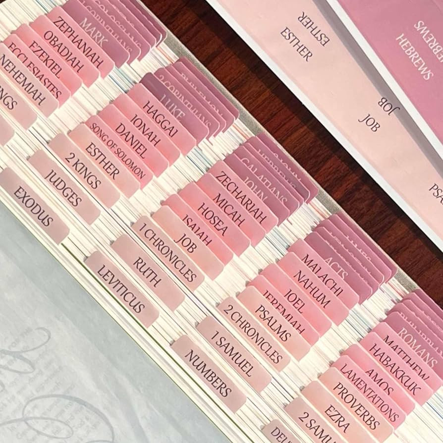 Reposition Bible Tabs, Large Print Lanimated Stickers, Easy to Read and Apply Bible Tabs for Wome... | Amazon (US)