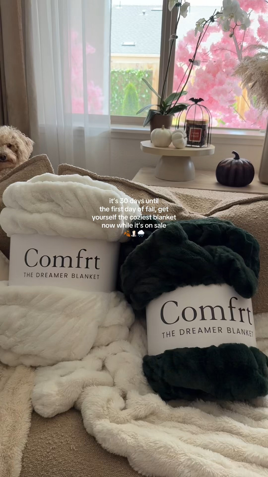 New COMFRT blankets just in time for fall!! I got the medium sized and the large size! So cozy  

#LTKSaleAlert #LTKSeasonal #LTKHome