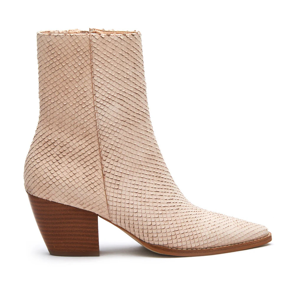 Caty Ankle Boot | Matisse Footwear