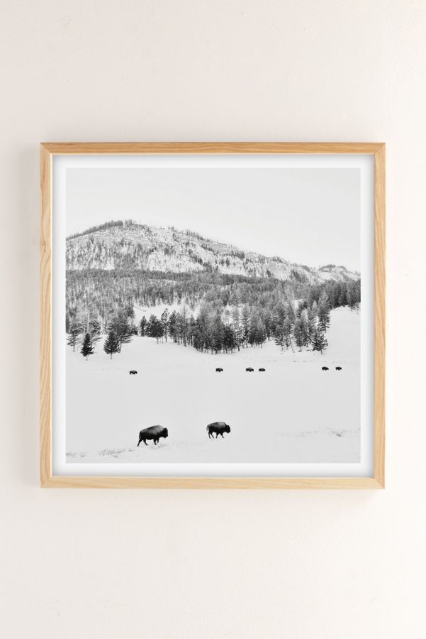 Michael O'Neal American Bison Art Print | Urban Outfitters (US and RoW)
