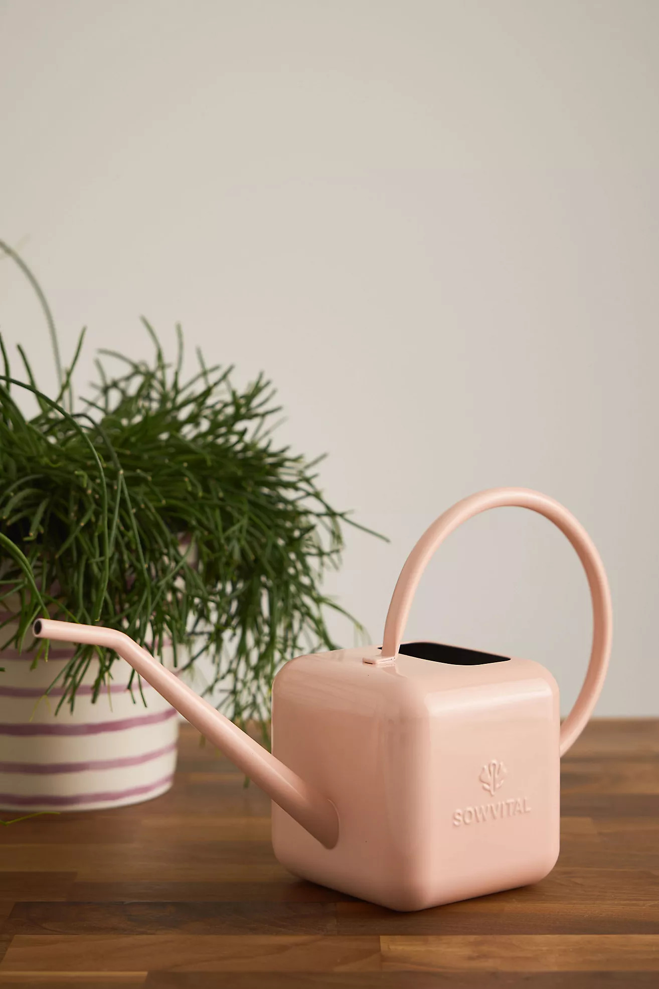 Sowvital Watering Can | Anthropologie (UK)