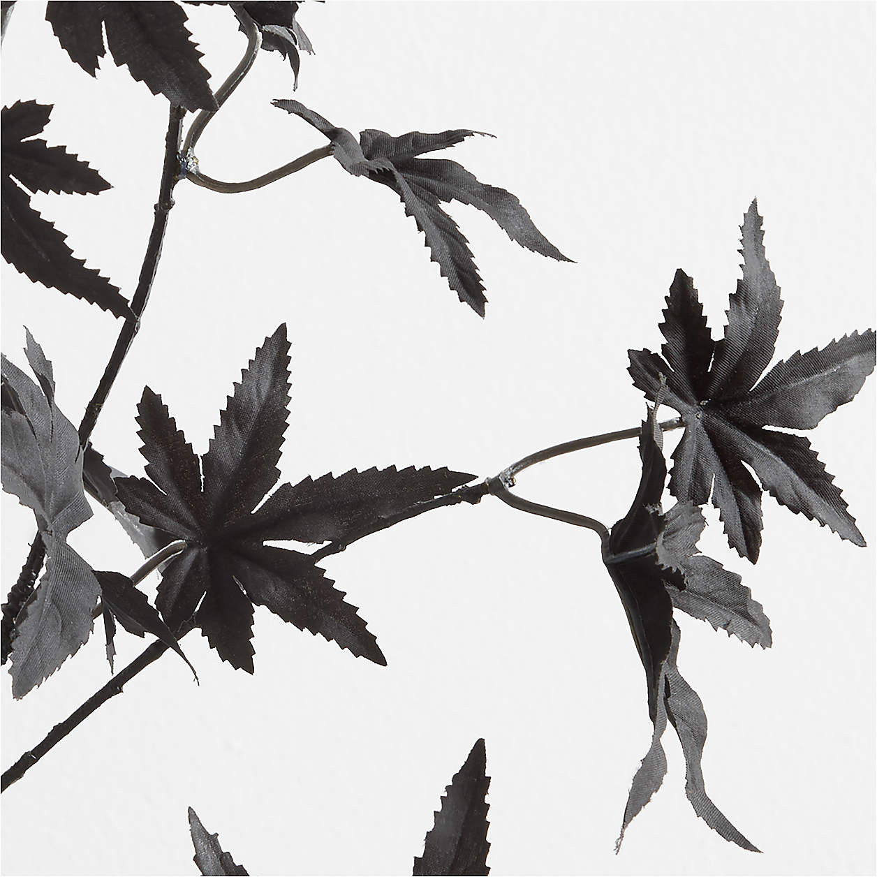 Faux Black Maple Stem 66" | Crate & Barrel | Crate & Barrel