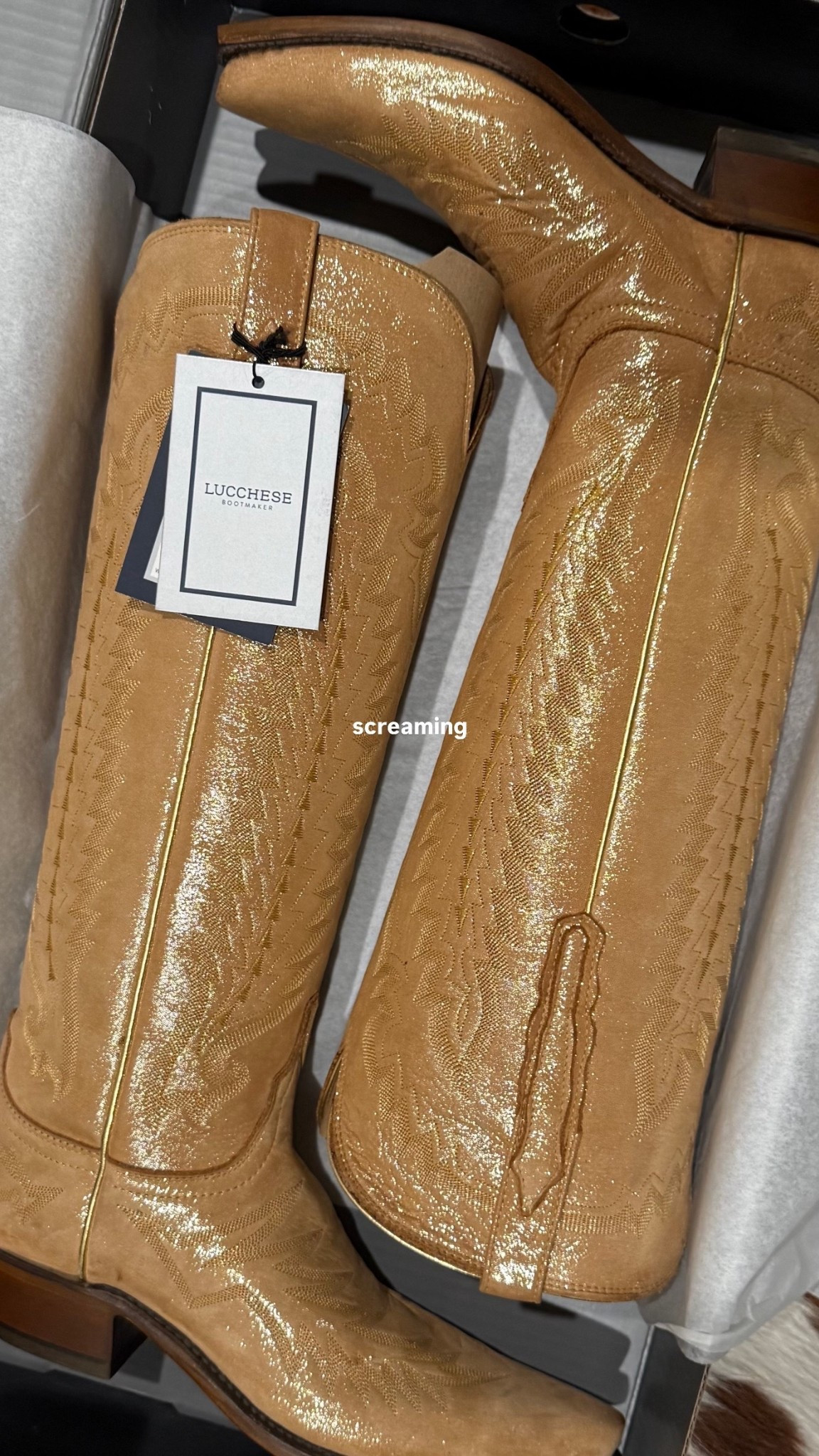 my dream boots 🤍

#LTKootd #LTKdayinmylife #LTKSeasonal