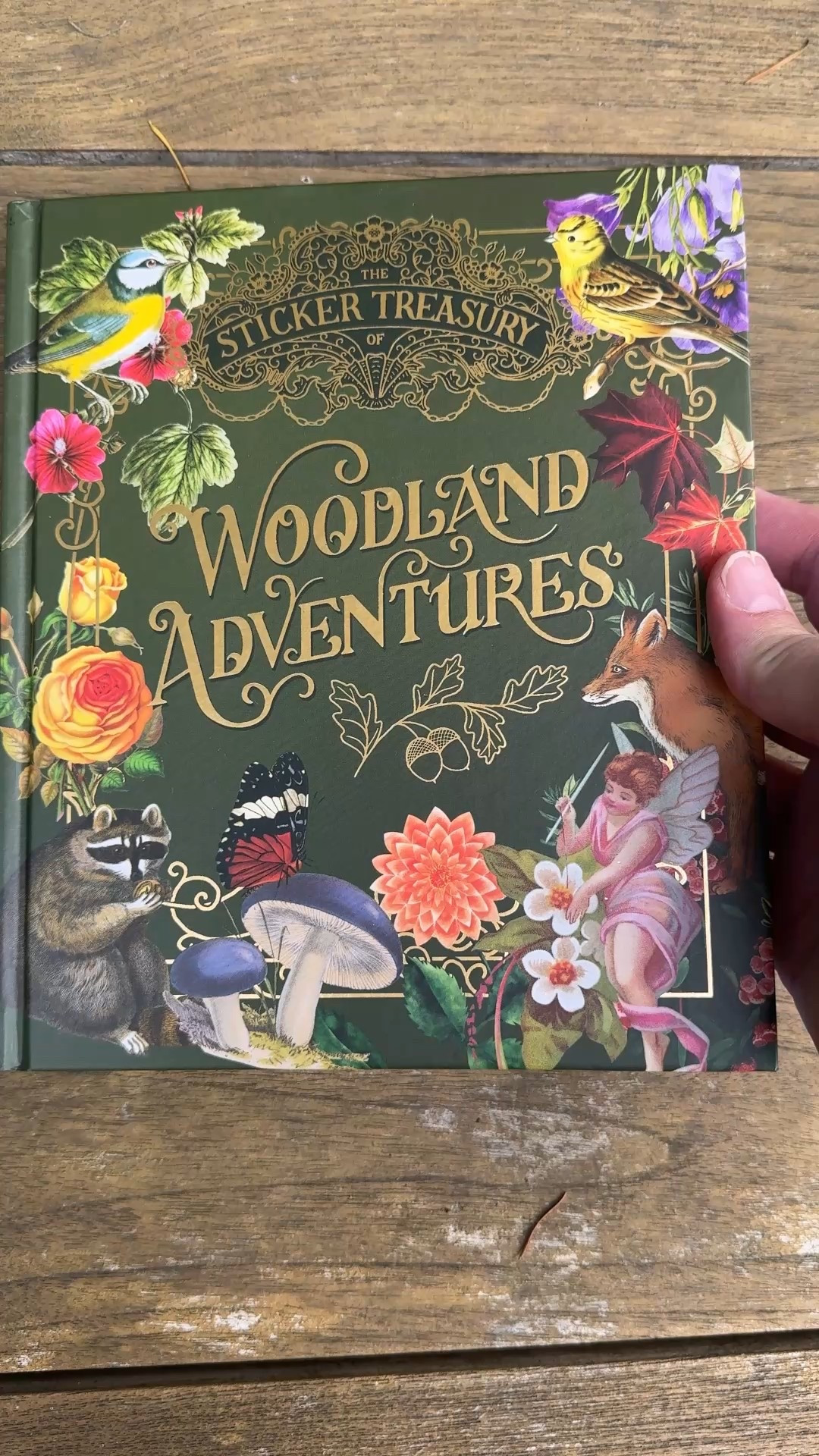 Sticker Book Treasury of Woodland Adventures for scrapbooking, journaling and papercrafting. 

#LTKSeasonal