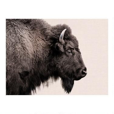 Buffalo Profile Canvas Wall Art | World Market