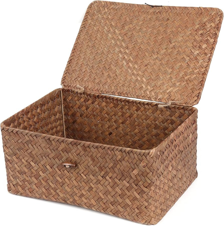 FEIALNDUO Wicker Shelf Baskets with Lid,Seagrass Storage Basket Bins Rectangular Handwoven Basket... | Amazon (US)
