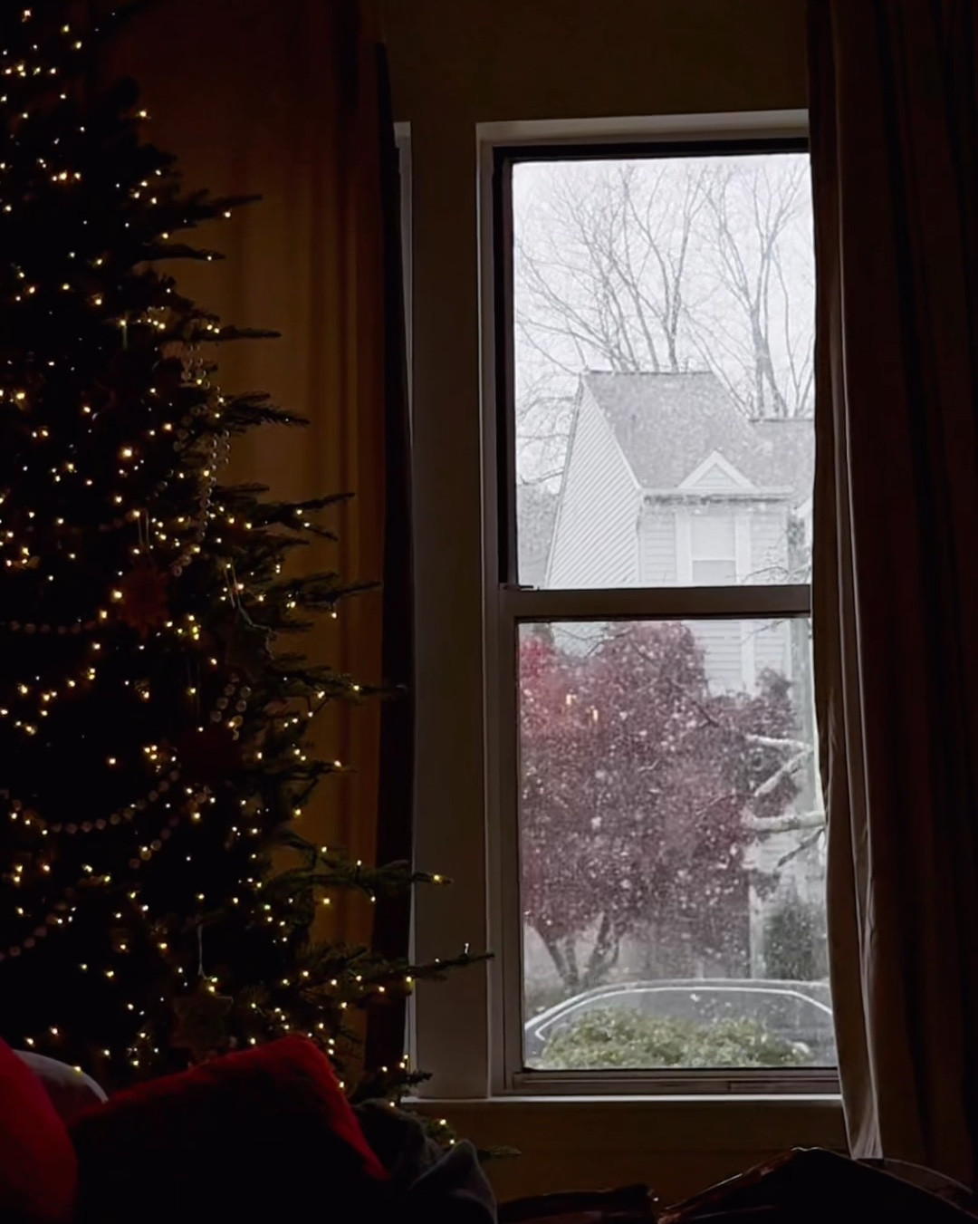 The viral Home Depot tree has proven to me why it’s so worth the hype. The twinkle is so magical, and I could watch the snow fall all day long from this view of the tree and window 😍

#ChristmasTree #ViralTree #HomedepotTree

#LTKHome #LTKHoliday #LTKSeasonal