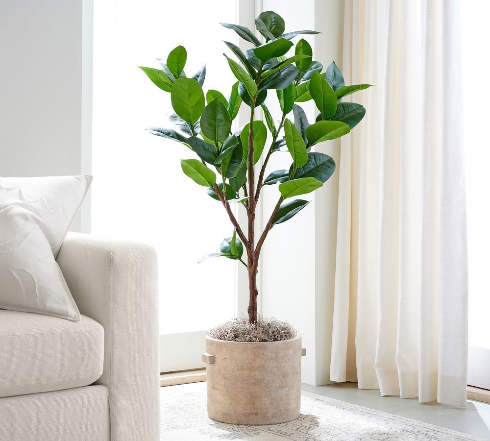 Faux Potted Rubber Tree, 51.5&amp;quot;H | Pottery Barn (US)
