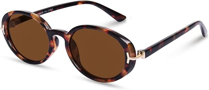 Retro Oval Sunglasses Womens 90s Trendy Sun Glasses Y2K Style Outdoor Sunglasses | Amazon (US)