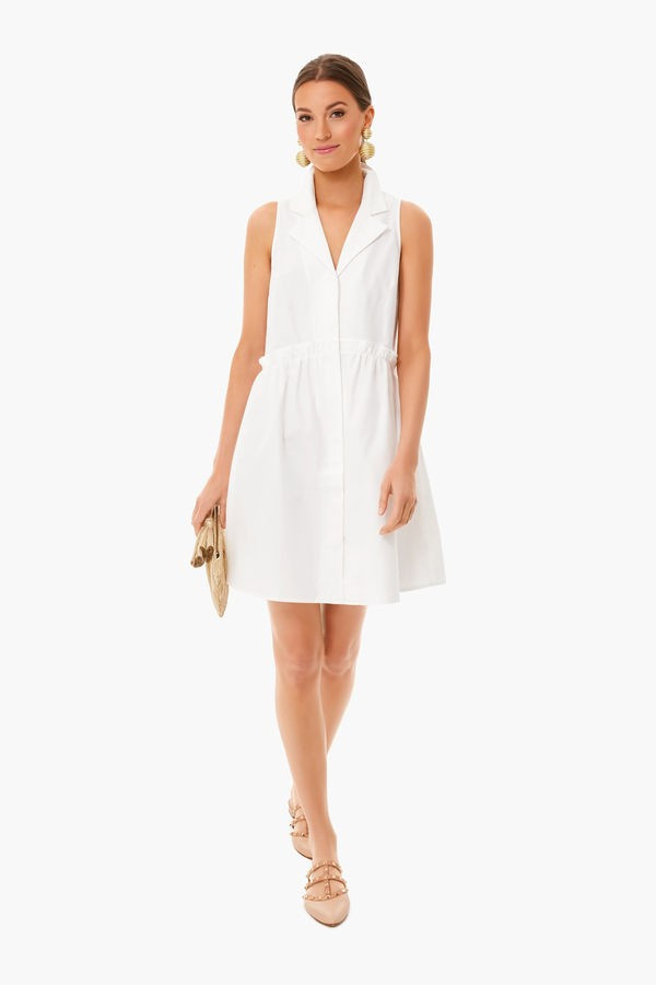 Oxford White Sleeveless Royal Shirt Dress | Tuckernuck (US)