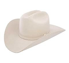 Stetson Men's 3X Oakridge Wool Felt Cowboy Hat | Amazon (US)