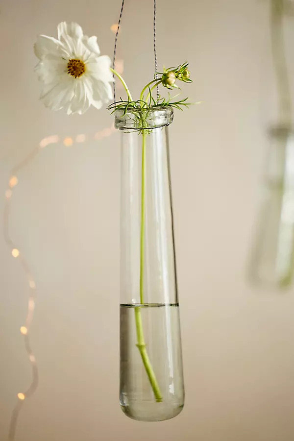 Large Hanging Glass Bud Vase Set | Anthropologie (US)
