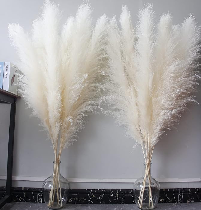 46" inch 10 Stems Cream Pampas Grass Decor Tall, Dry Flowers for Floor Vases Decor, Natural Dried... | Amazon (US)