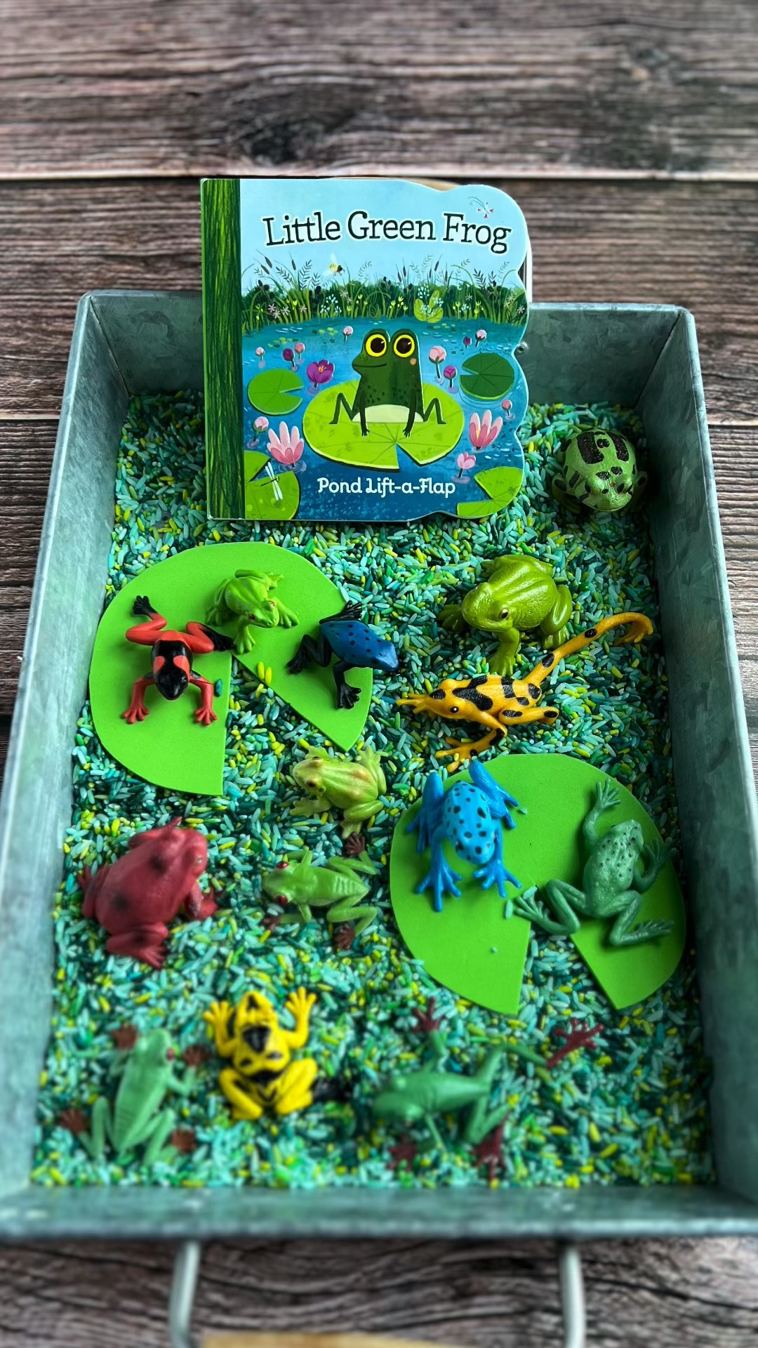 Bring Storytime to life with this ‘Little Green Frog’ bookish sensory tray.

#LTKfamily #LTKkids #LTKhome