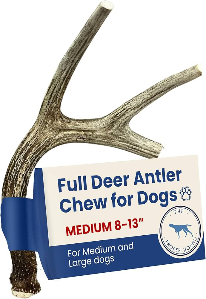 Whole Deer Antler Dog Chew, Medium, 8 to 13 inches | Amazon (US)