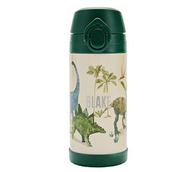 Jurassic Dino Mackenzie Water Bottle | Pottery Barn Kids