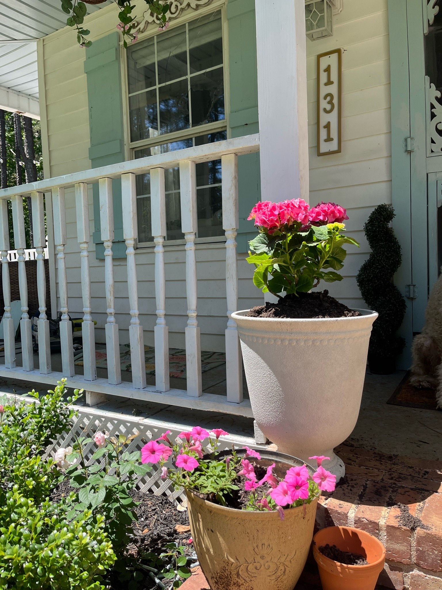 Planters! So nice

#LTKSeasonal #LTKMothersDay #LTKHome