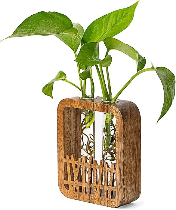 Walnut Wood Terrarium Planter - 2 Glass Test Tube Vase & Boho Plant Stand for Hydroponics, Home O... | Amazon (US)