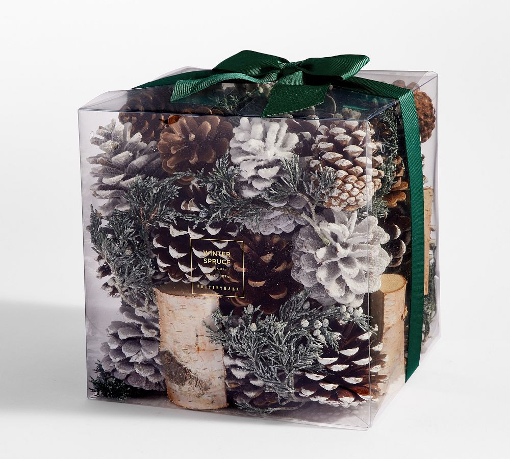 Winter Spruce Scent Collection | Pottery Barn (US)
