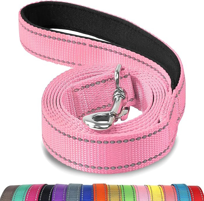 Joytale Double-Sided Reflective Dog Leash, 6 FT/5 FT/4 FT, Padded Handle Nylon Heavy Duty Leashes... | Amazon (US)