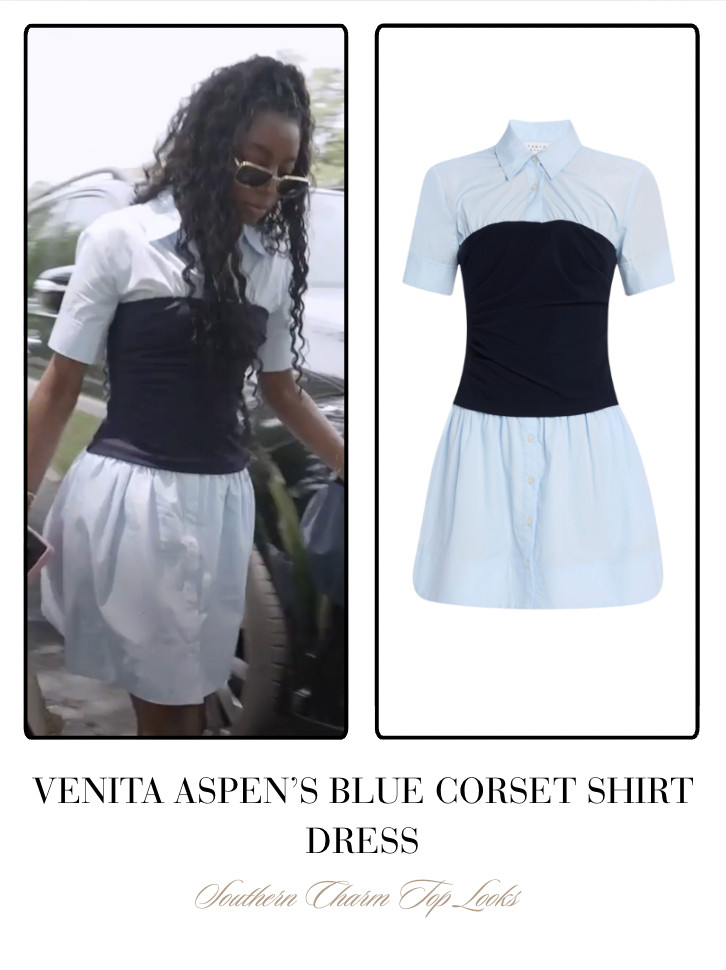 Venita Aspen's Blue Corset Shirt Dress 

 