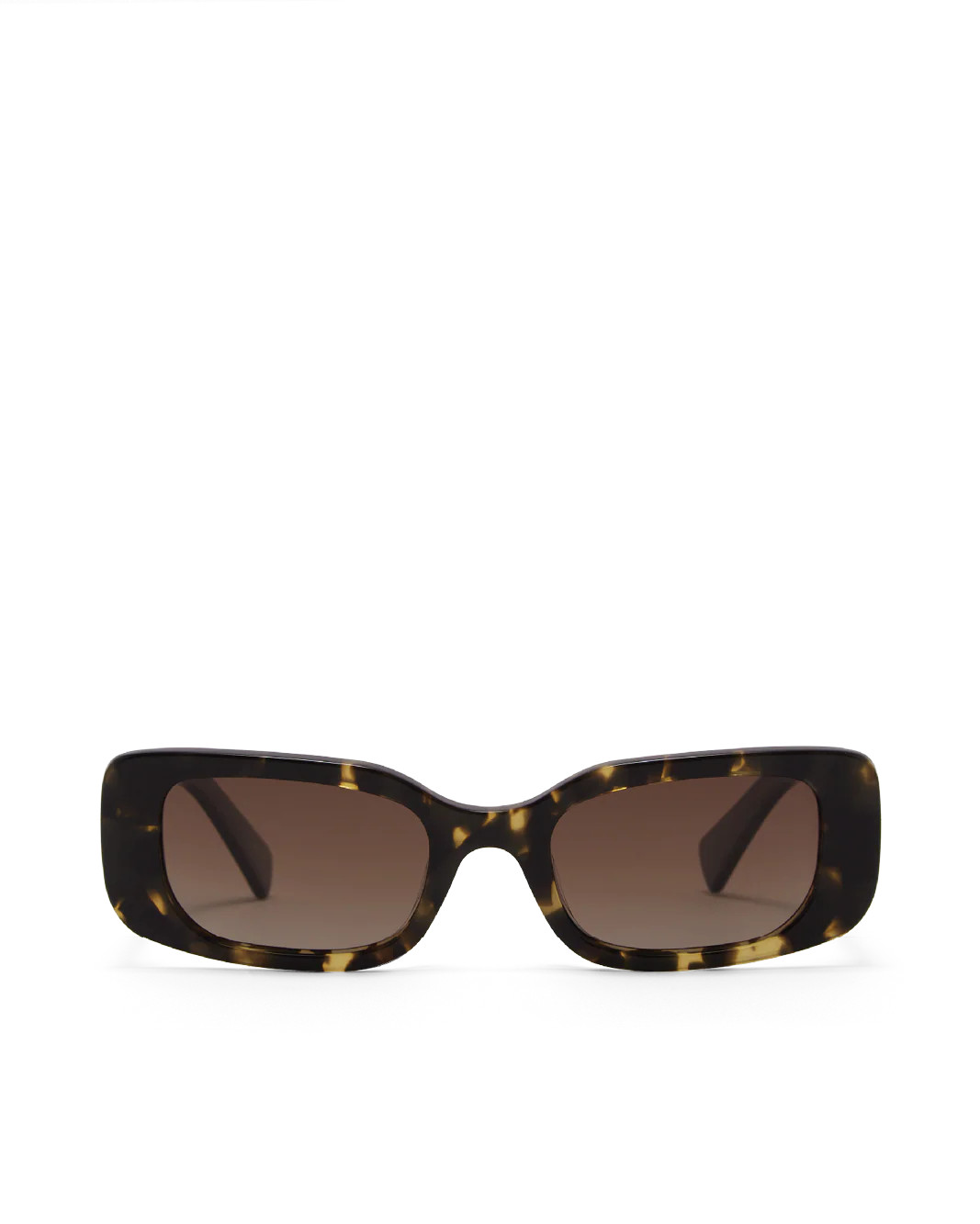 THE TASH - TOFFEE TORT-BLACK-PECAN - SUNGLASSES - Billini | Billini (ANZ)