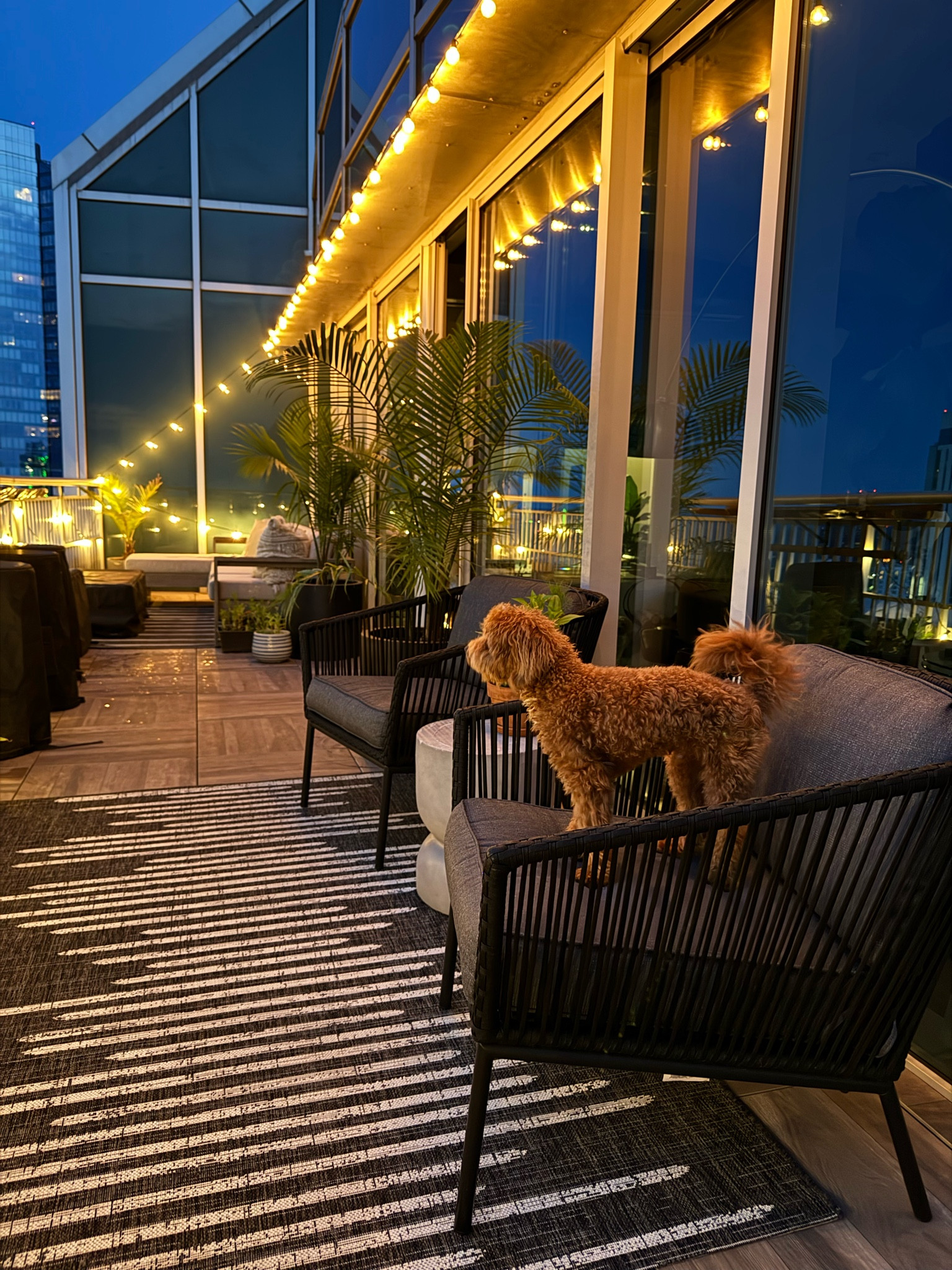 Outdoor balcony/patio space  inspiration. Outdoor sectional (in the back) is customizable from West Elm. Outdoor chairs, rugs, and side table are from Target. 

#LTKHome