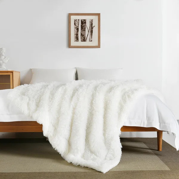 Edenborn Elec Shaggy Super Soft Sherpa Faux Fur Throw | Wayfair Professional