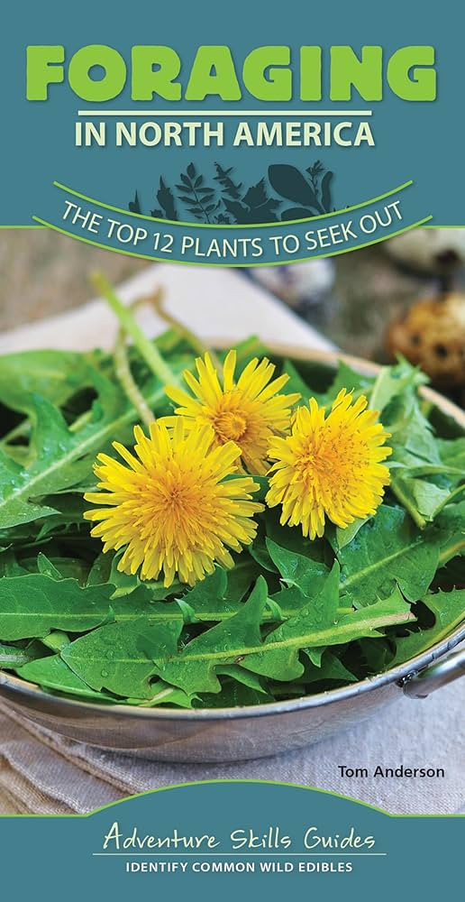 Foraging in North America: The Top 12 Plants to Seek Out (Adventure Skills Guides) | Amazon (US)
