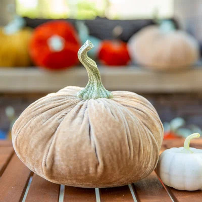 Velvet Pumpkin Decorative Accent The Holiday AisleÂ® Size: 8.5" H x 8.25" W x 8.25" D, Color: Taupe | Wayfair North America