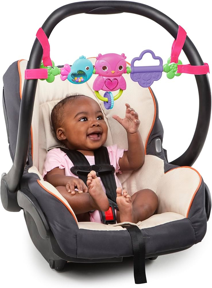 Bright Starts Busy Birdies Carrier Toy Bar Musical Take-Along Toy with Lights, Ages Newborn +, Pi... | Amazon (US)