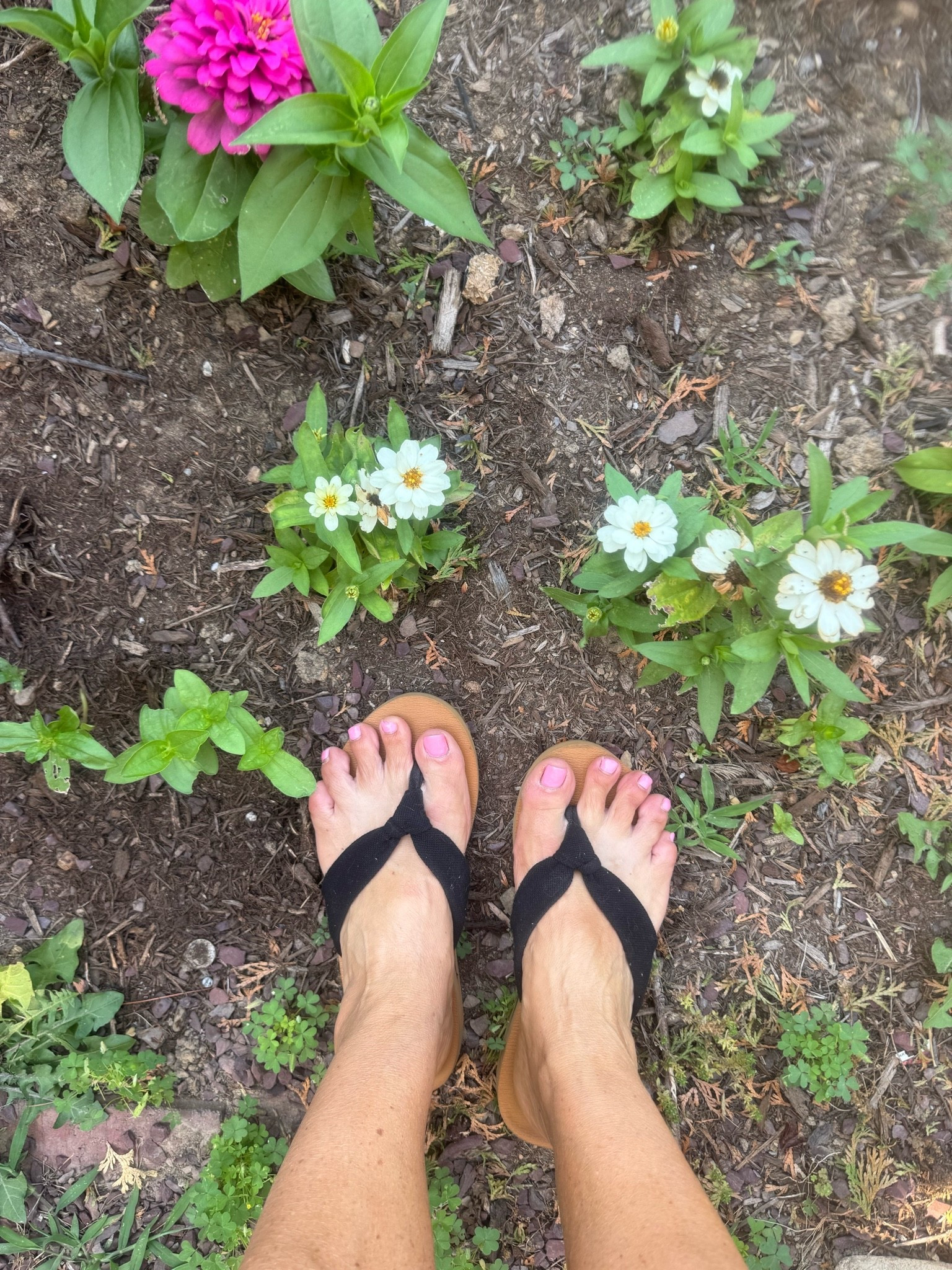 Best Amazon flip flops. Great for travel. My daughter and I wore them all over the Amalfi coast last summer. Under $20!

#LTKActive #LTKSeasonal
