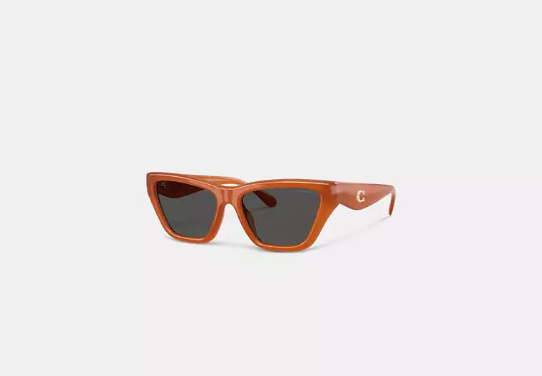 C Hardware Cat Eye Sunglasses | Eyewear | Coach | COACH® | Coach (US)