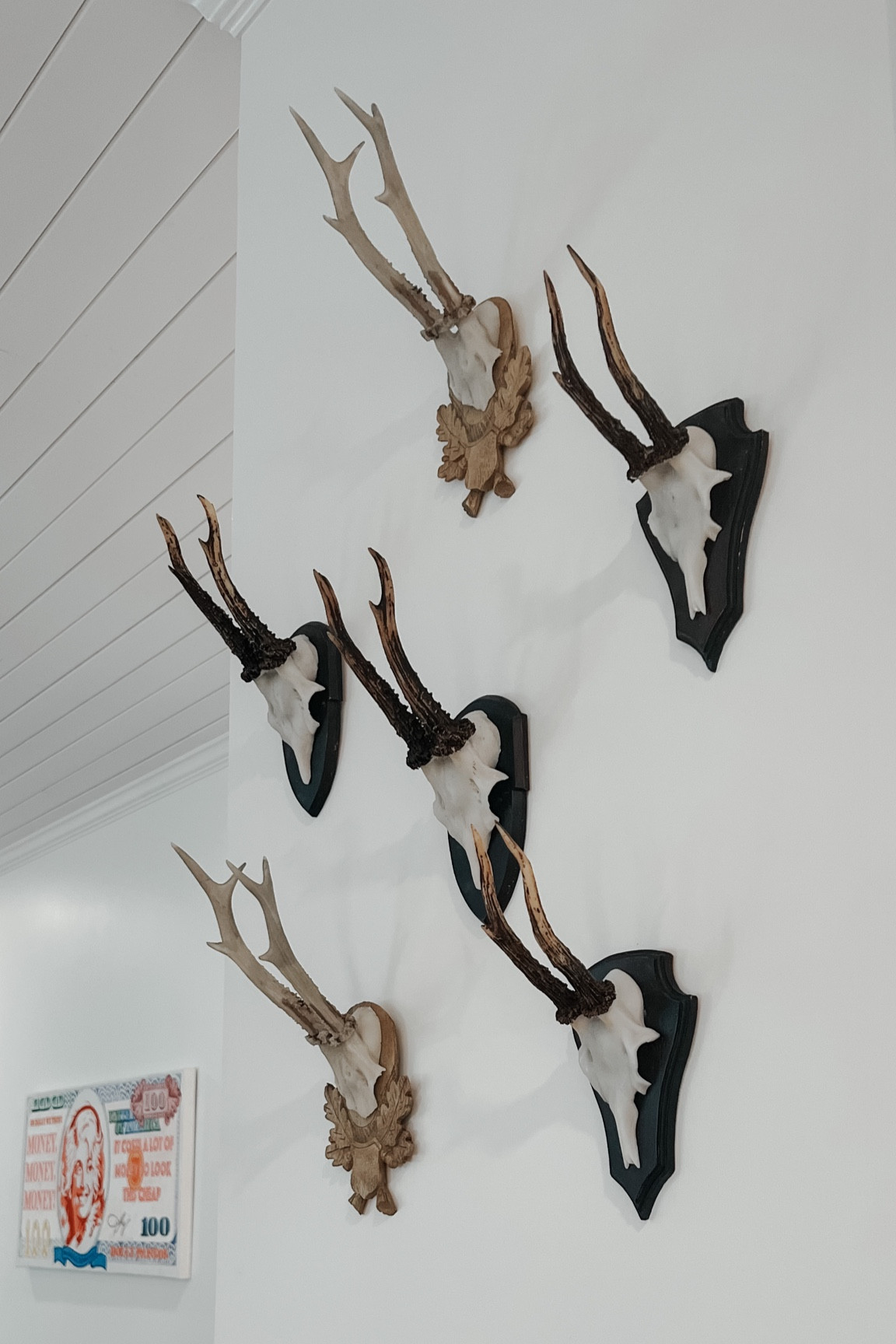 Love these faux antlers. Great for a small bare wall! 

#LTKGiftGuide #LTKhome