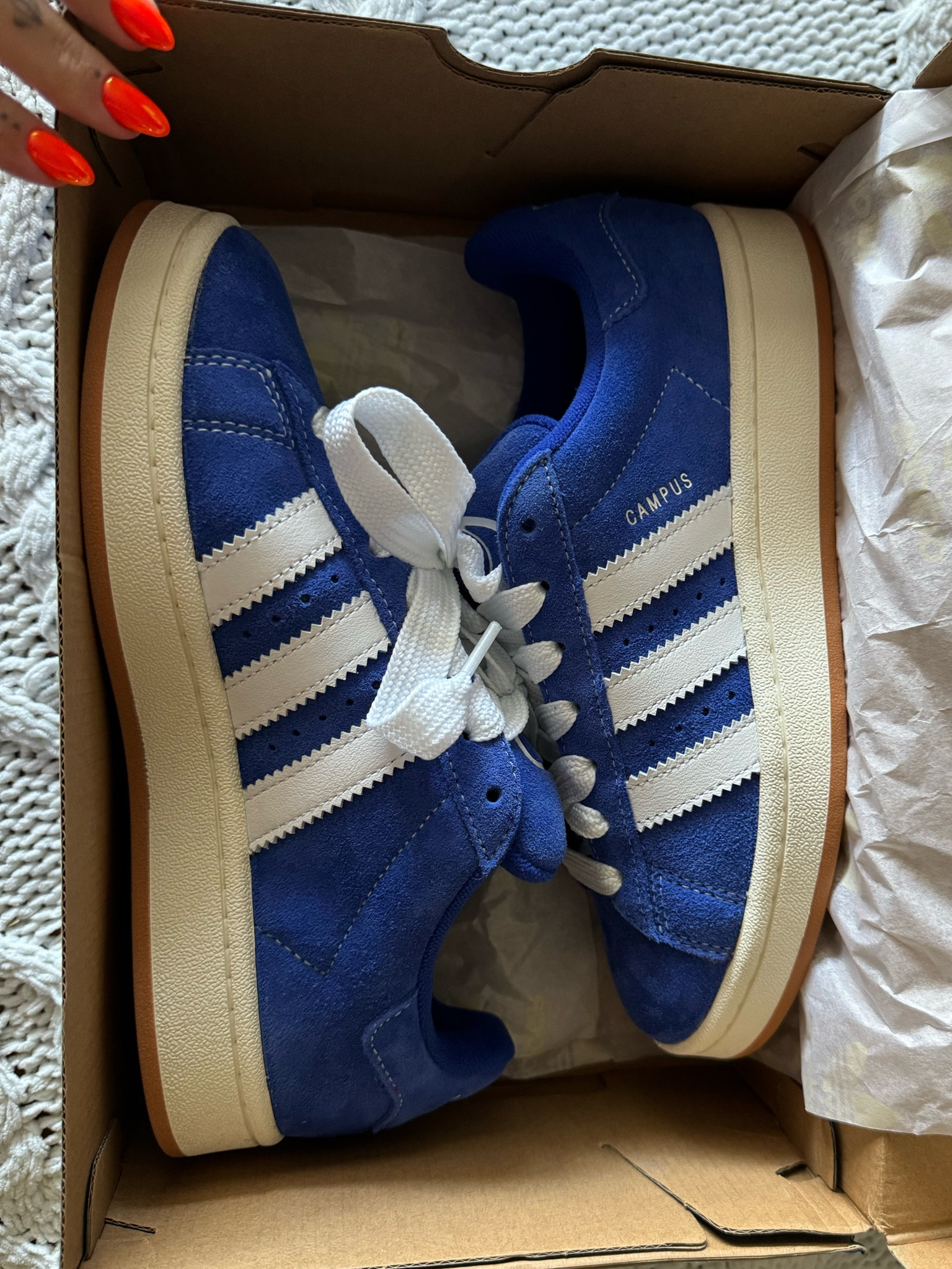 Adidas Campus 
Runs big 
True 7.5 ordered a 7
Comes with chunky blue and white laces and skinny blue 

#LTKShoeCrush #LTKGiftGuide #LTKStyleTip