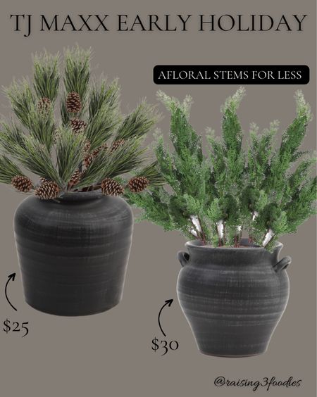 TJ Maxx Finds!  Amazing prices on these vintage look vases and Afloral stems!!!

Christmas Holiday look for less, greenery stems, branches, 

#LTKhome #LTKHolidaySale #LTKHoliday