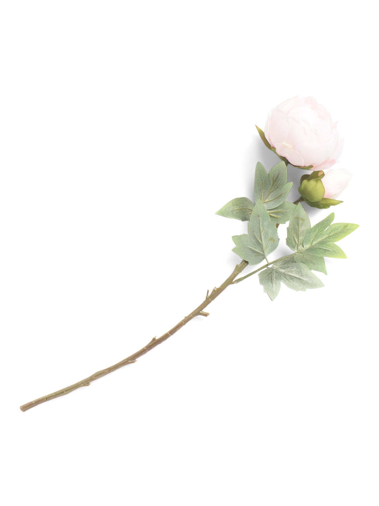 23in Silk Peony Stem | TJ Maxx