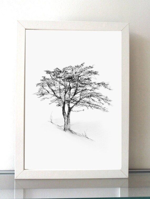 TRee art - Tree drawing - Giclee print - Home Decor Wall Decor -Tree sketch - Nature illustration -  | Etsy (US)