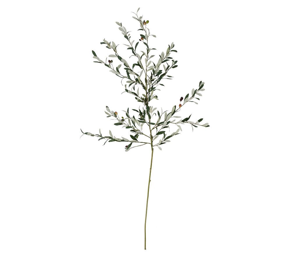 Faux Olive Branch | Pottery Barn (US)