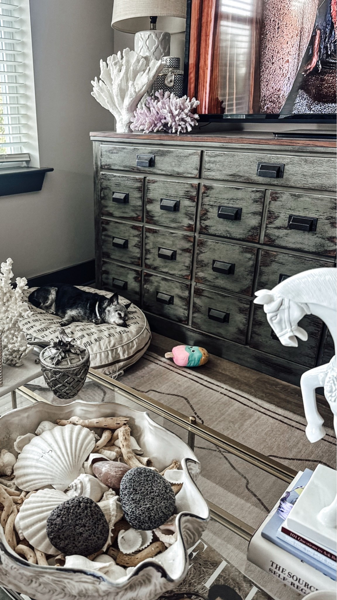 Apartment Therapy: Dog-Friendly Living Rooms

Scroll to shop.

#LTKPet

#LTKHome #LTKmomlife