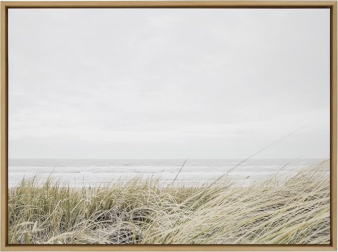 Kate and Laurel Sylvie East Beach Framed Canvas Wall Art by Amy Peterson Art Studio, 28x38 Natura... | Amazon (US)